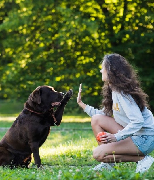 talk to dog using talkies app